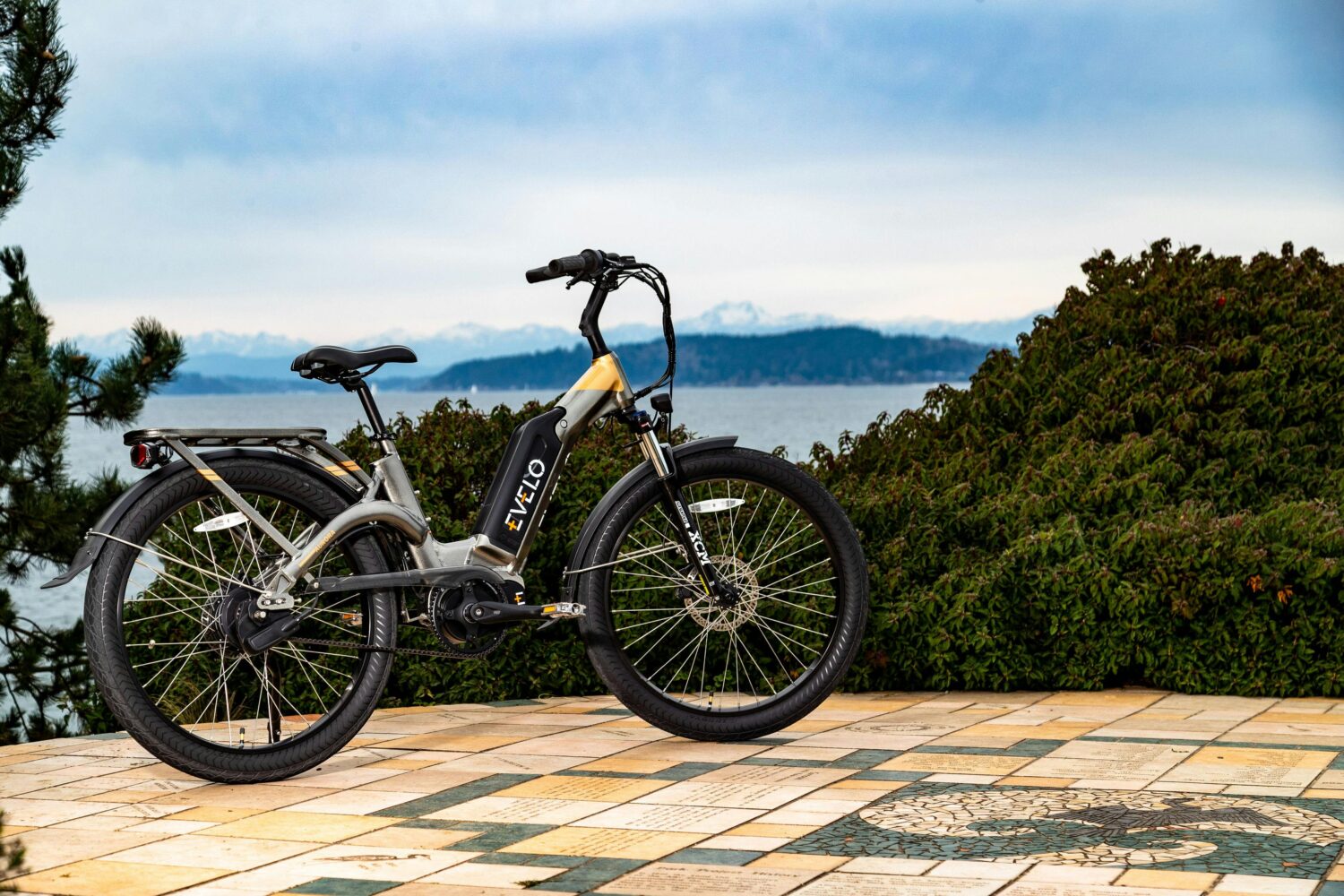 a bicycle parked on a tiled surface with bushes and water in the background